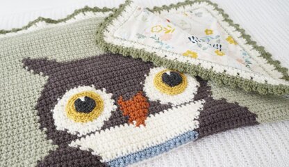 Crochet owl baby online blanket