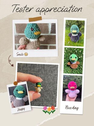 Mallard Duck Squishy Plushie