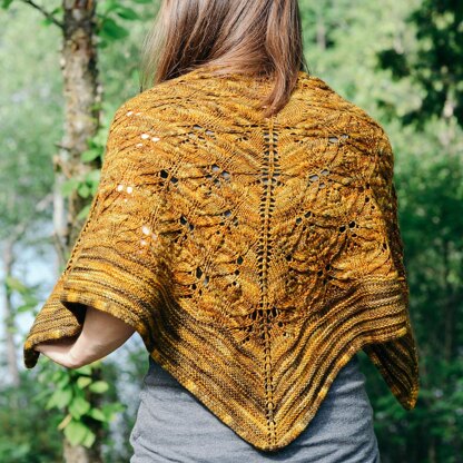 Snakes and Spiders Shawl