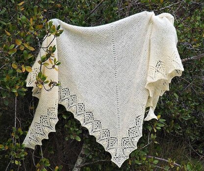 Moonlet Shawl