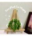 Fern Plant Car Hanging