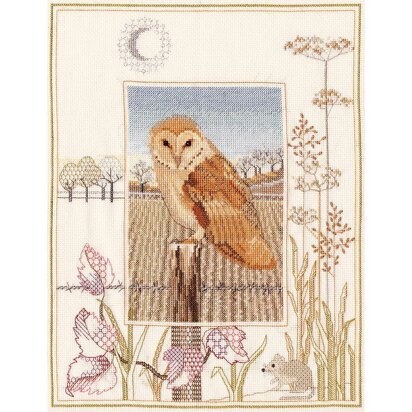Bothy Threads Wildlife - Barn Owl Cross Stitch Kit - 27cm x 34cm