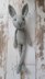 Sabina Bunny