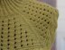 Green Lace Neck Warmer