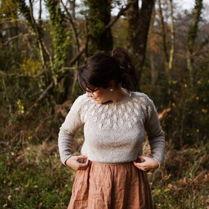 Into the woods (jumper)