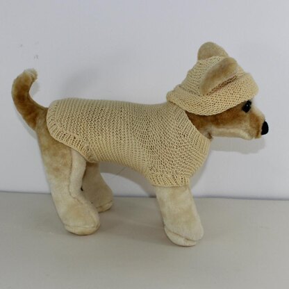 Small Dog 4 Ply Coat & Beanie Hat