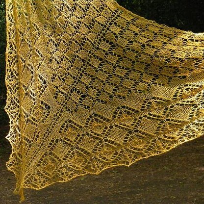 Sun bird shawl