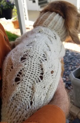 Wavy Ribbon Mini-Doxie Sweater