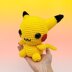 Vincrafty's Pikachu & Eevee Pattern