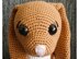 Crochet Pattern for the Cute Bunny Lisa!