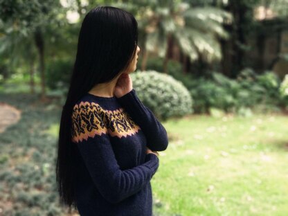 Butterfly Yoke Pullover