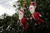 Father Christmas Decoration