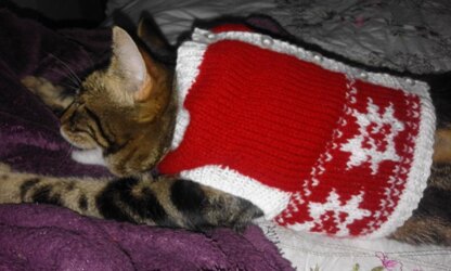 Knitted Christmas jumpers and hat for pussy cats!