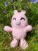Baby Dragon's Hug Bear