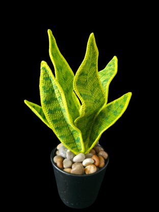 Crochet Snake plant pattern