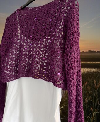 Sequin Crochet Top