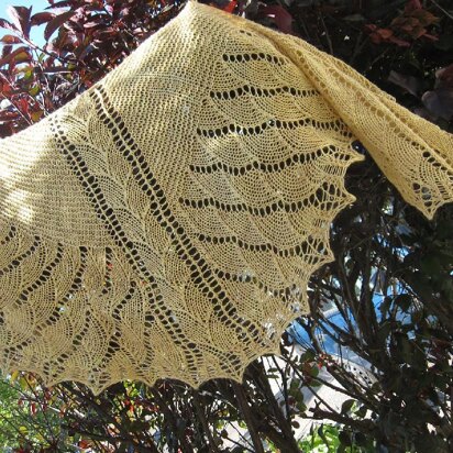 Hatchling Dragon Shawl