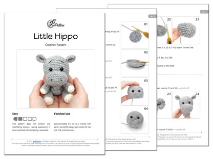 Little Hippo