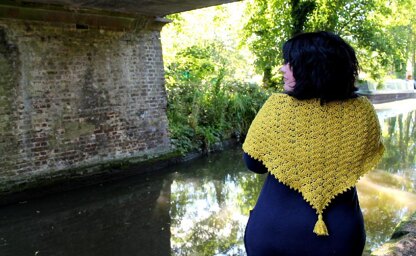 Nettie Shawl