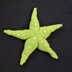 Giant Sea Star
