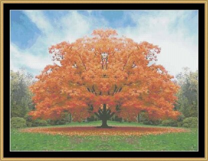 BRIGHT ORANGE OF FALL