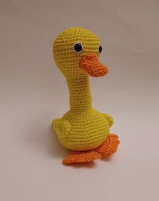 Clotild duck