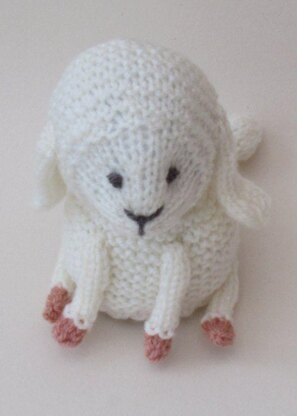 March Lamb Chocolate Orange Cosy