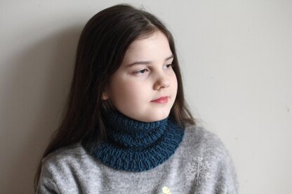 Peregrine Cowl for DK yarn