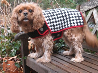 The Hound of the Baskervilles Dog Coat