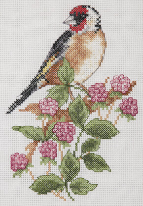 Anchor Starter: Goldfinch Cross Stitch Kit