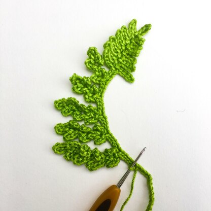 Crochet Fern Crochet pattern by South Devon Stitches | LoveCrafts