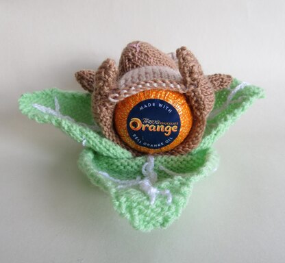 Rabbit in the Lettuce Chocolate Orange Cover Easter