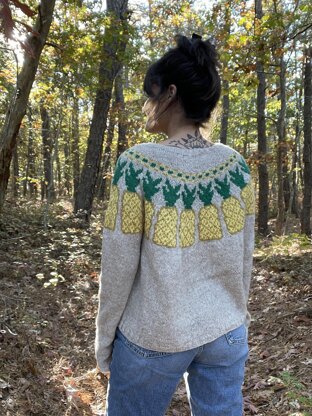 Pineapples Pullover