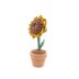 Sunflower In Pot