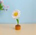 Daisy Flower
