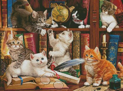 Kittens in the Library - #14469-MHS