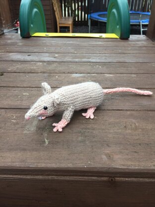 Raymond the Rat