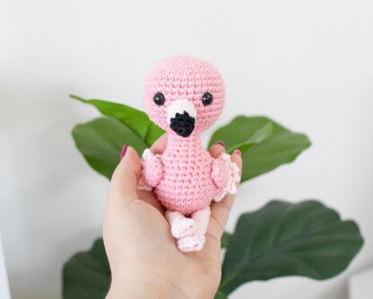 Baby Flamingo