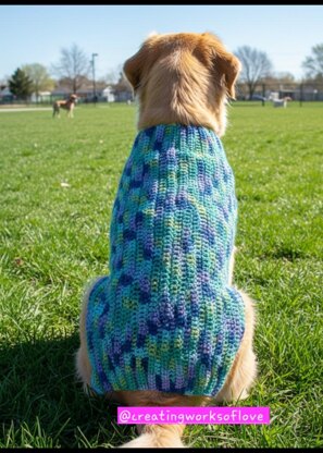 Max's Dog Sweater