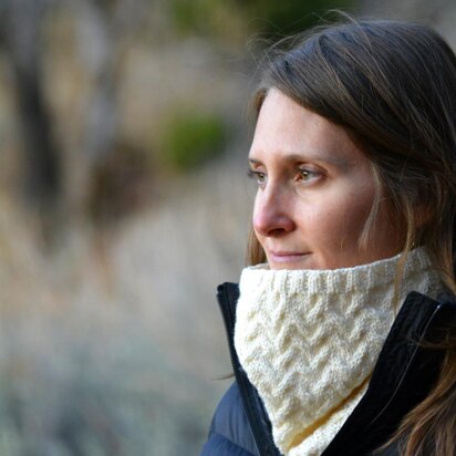 January Drift Cowl