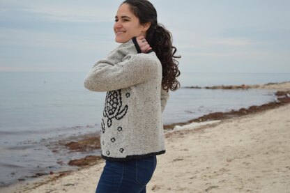 Sea Turtles Pullover