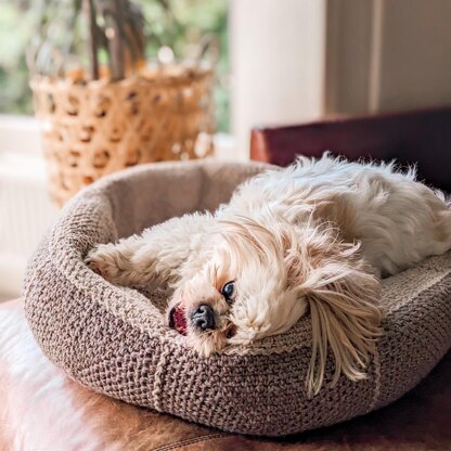 Modern Dog Bed