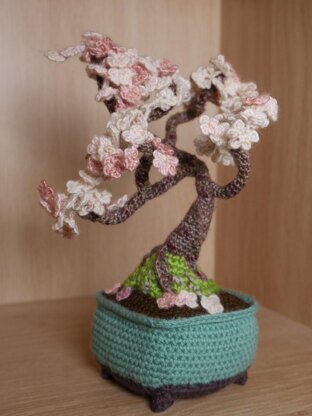 Cherry Blossom Bonsai