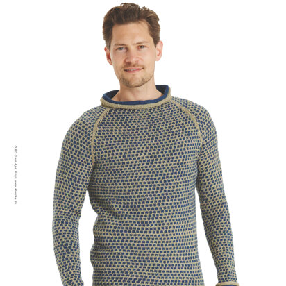 Lober Sweater in BC Garn Semilla - 4027BC - Downloadable PDF