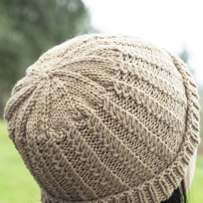 Chuckanut Hat in Cascade Anthem - W715 - Downloadable PDF