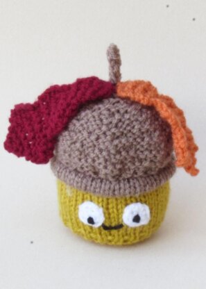 Acorn Chocolate Orange Cosy