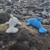 Knitted Dolphins