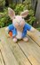 Peter Rabbit