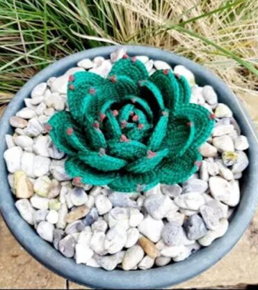 Crochet Hen & Chick's succulent plant