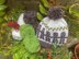 Gingerbread Men Hats